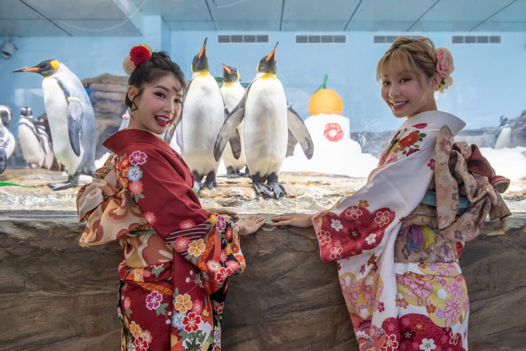 超萌「企鵝冰雪鏡餅」,樂天女孩也瘋狂