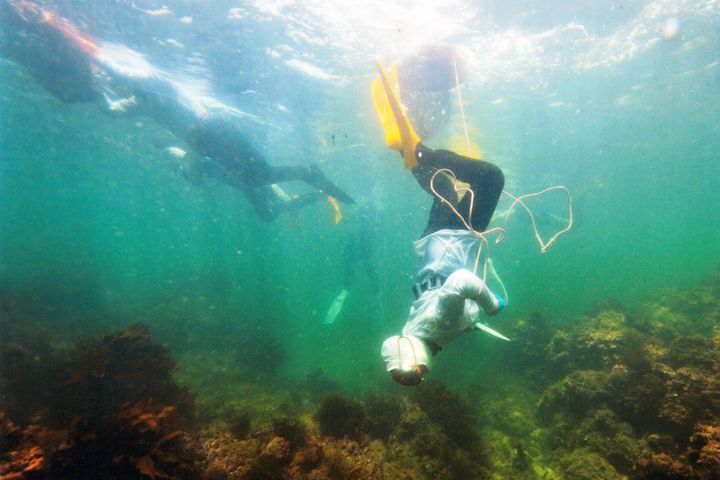 魅力無窮/三重縣一生必去一次!一見知事訪台為疫後觀光打氣