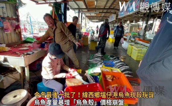 影/殺魚取卵!今冬最後一批了!線西鄉塭仔港烏魚現殺現賣
