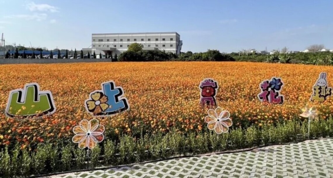 台南山上設花海迎春