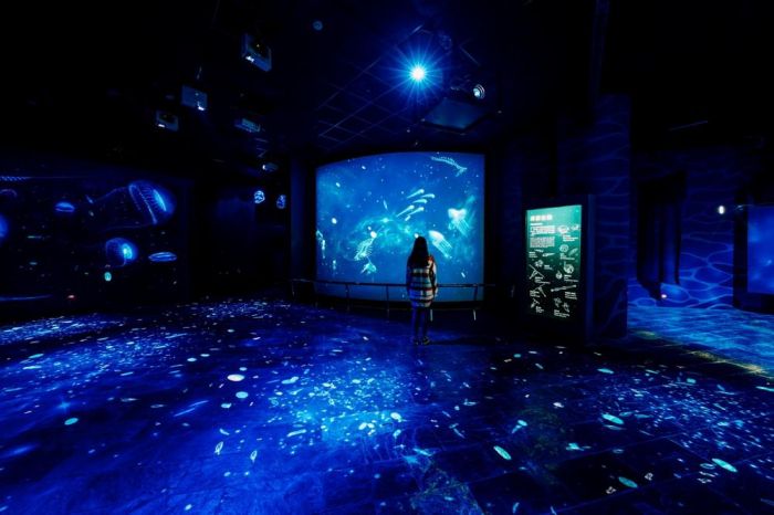 屏東海生館推新春連假必玩行程 出遊打卡一次滿足
