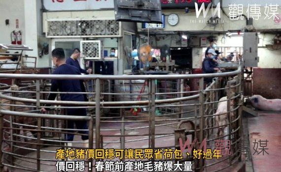 影/不再居高了 產地豬價回穩可讓民眾省荷包、好過年