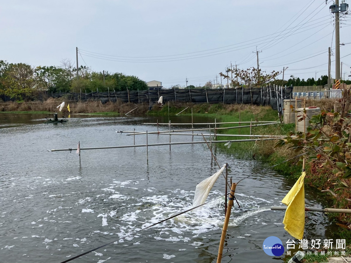 氣象預報大年初三、四寒流來襲，農漁業應及早做好防寒措施／陳致愷翻攝