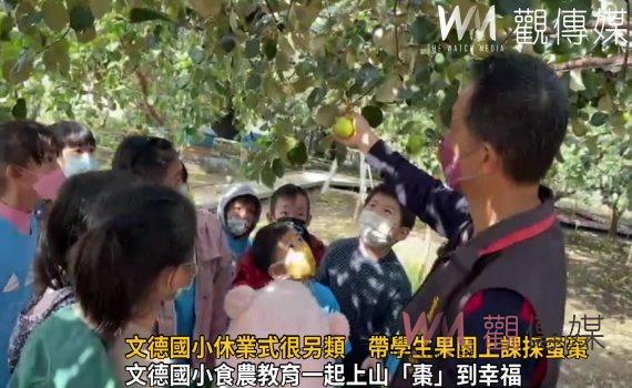 影/文德國小休業式很另類 校長帶學生果園上課採蜜棗