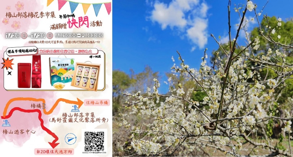 梅開眼笑迎兔年!踏「雪」尋梅遊桃源