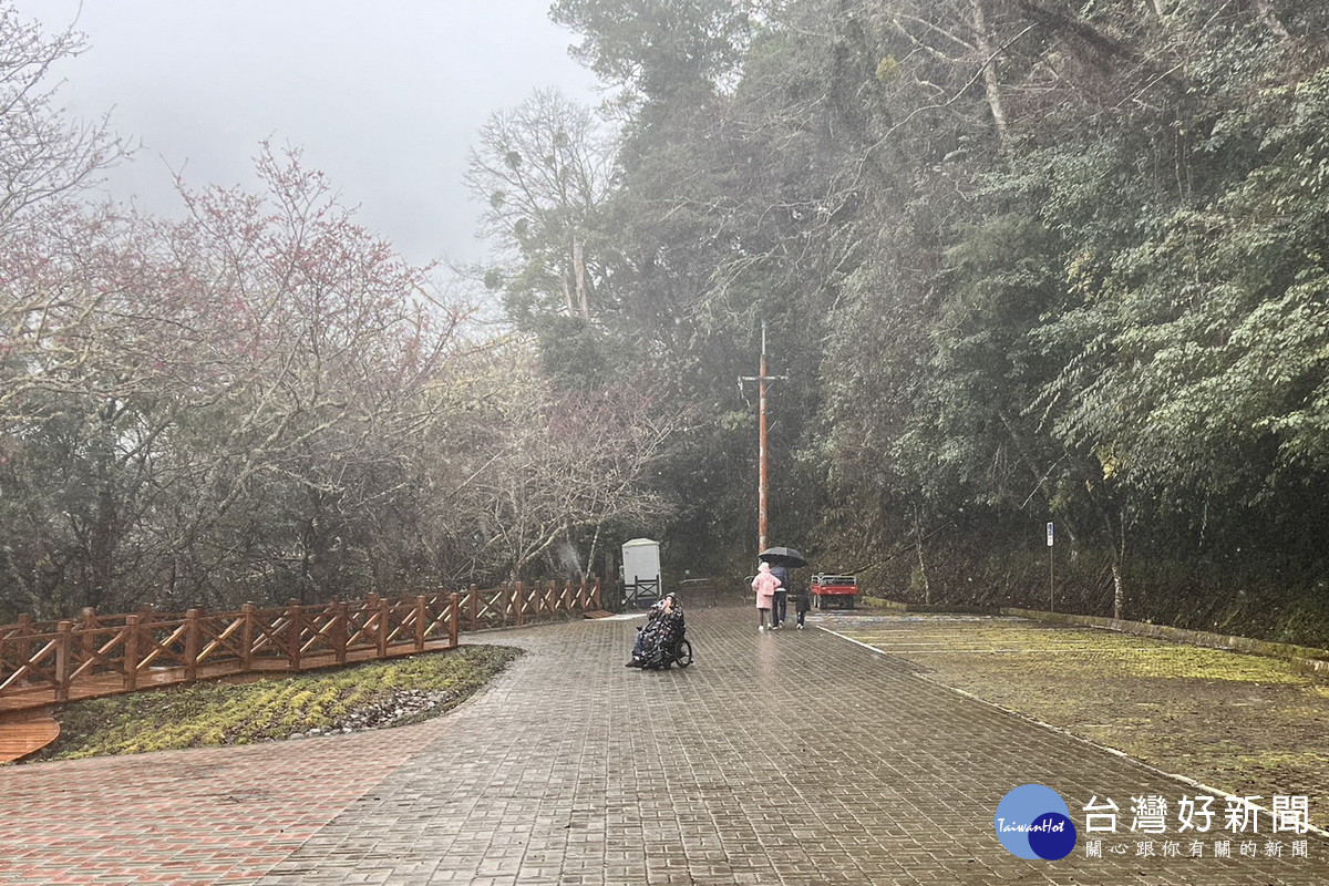 桃園市復興區拉拉山巨木區一帶出現冰霰有機會降雪,桃市府呼籲賞雪民眾注意安全。