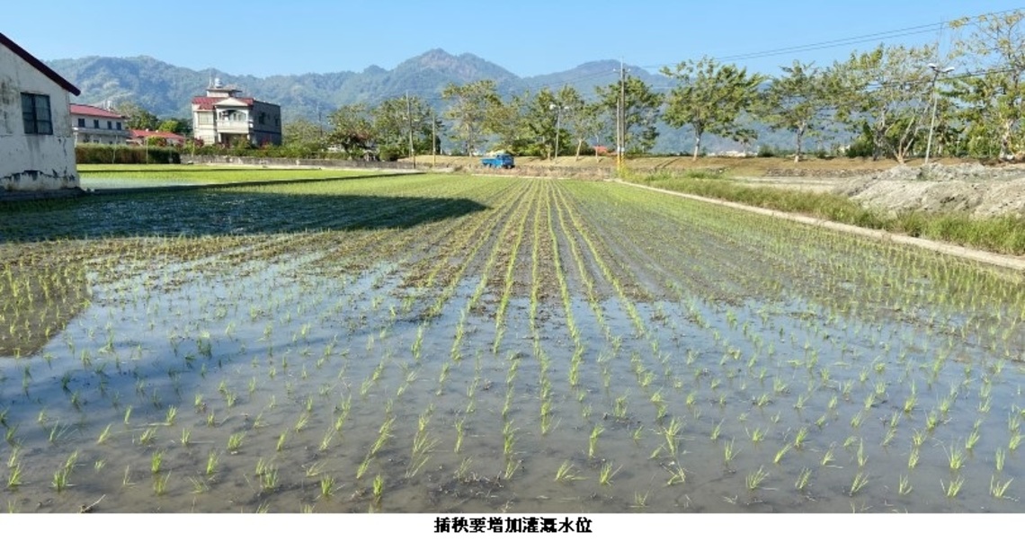 春節期間冷氣團南下 請農民加強防範