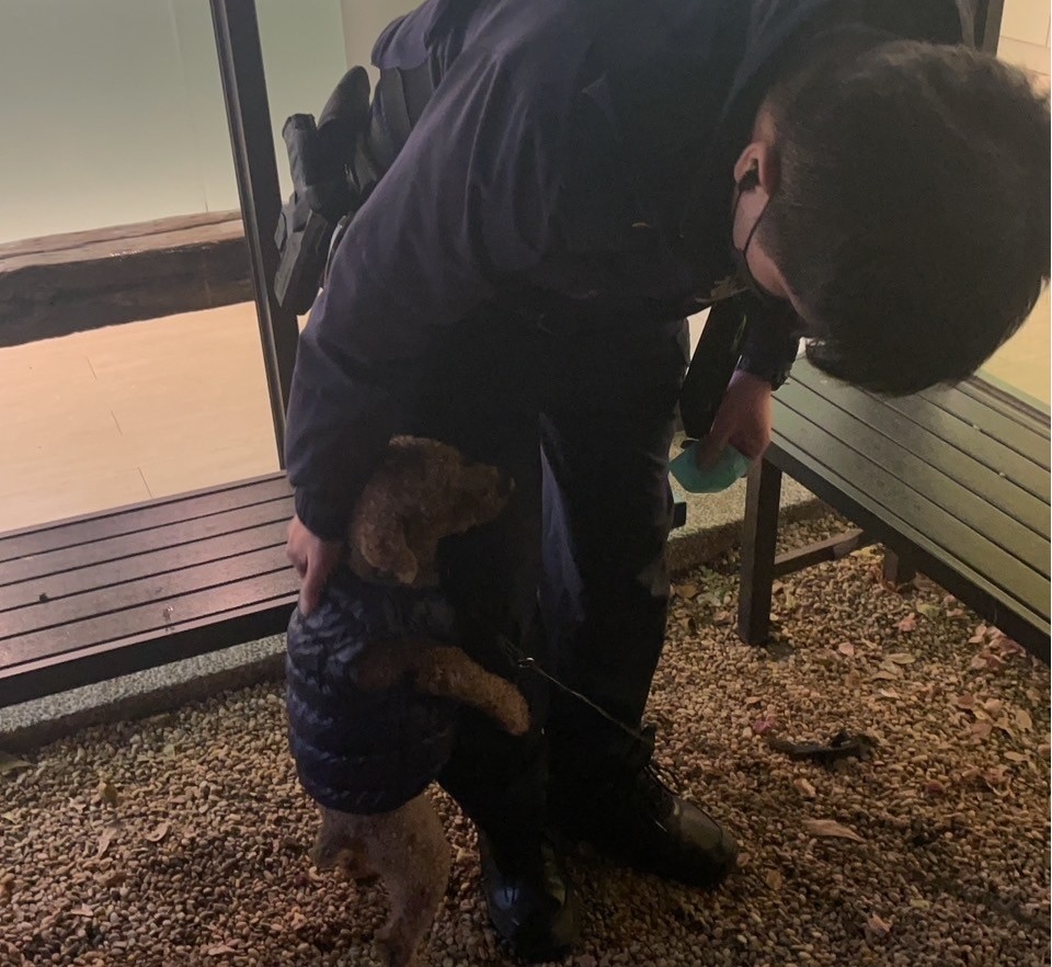 ▲ 員警先讓狗狗飽餐一頓,隨後帶牠去獸醫院掃晶片 (圖/台中市警察局 提供)