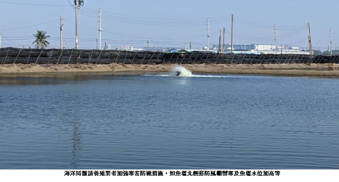 寒流低溫來襲   海洋局籲請養殖漁民啟動加溫防寒設備 並將協助電費補助