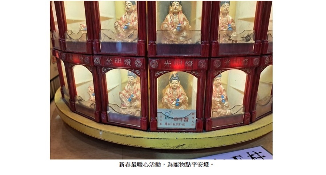 春節為毛寶貝點平安燈 兔吉利來好運年年增