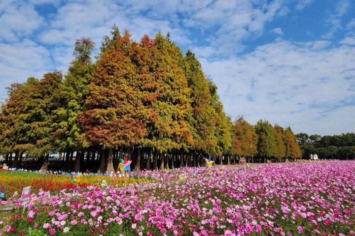臺南走春趣/行春網站網羅90個春節活動 讓您一站查詢