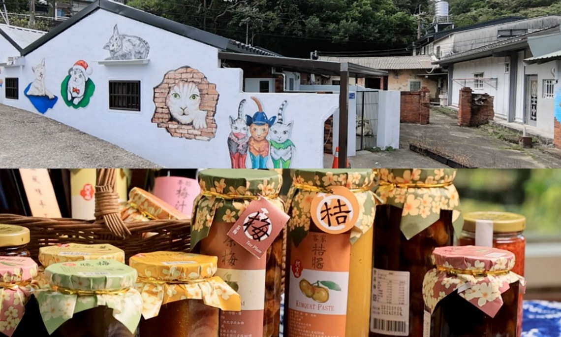春節連假倒數計時  竹縣五峰、竹東野趣農遊  為新年假期畫下完美句點