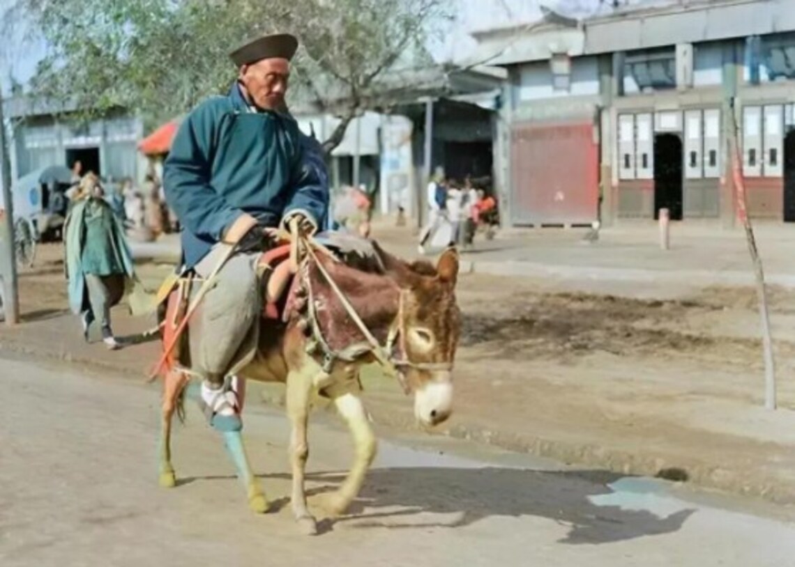 風馬牛不相及, 那公馬母驢,或是公驢母馬又如何?