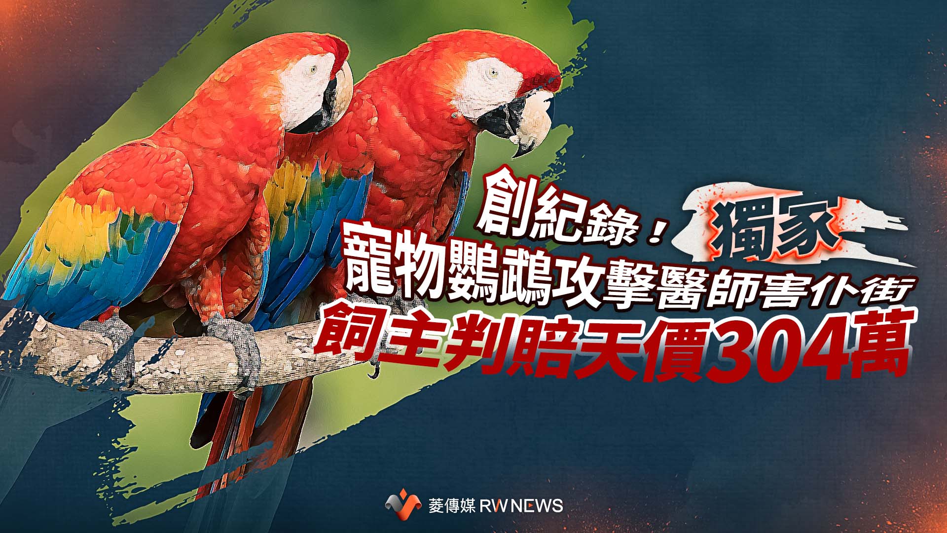 獨家/創紀錄!寵物鸚鵡攻擊醫師害仆街 飼主判賠天價304萬