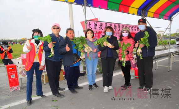 10度低溫下的拔蘿蔔 埔心鄉大華社區活動讓親子體驗農忙苦