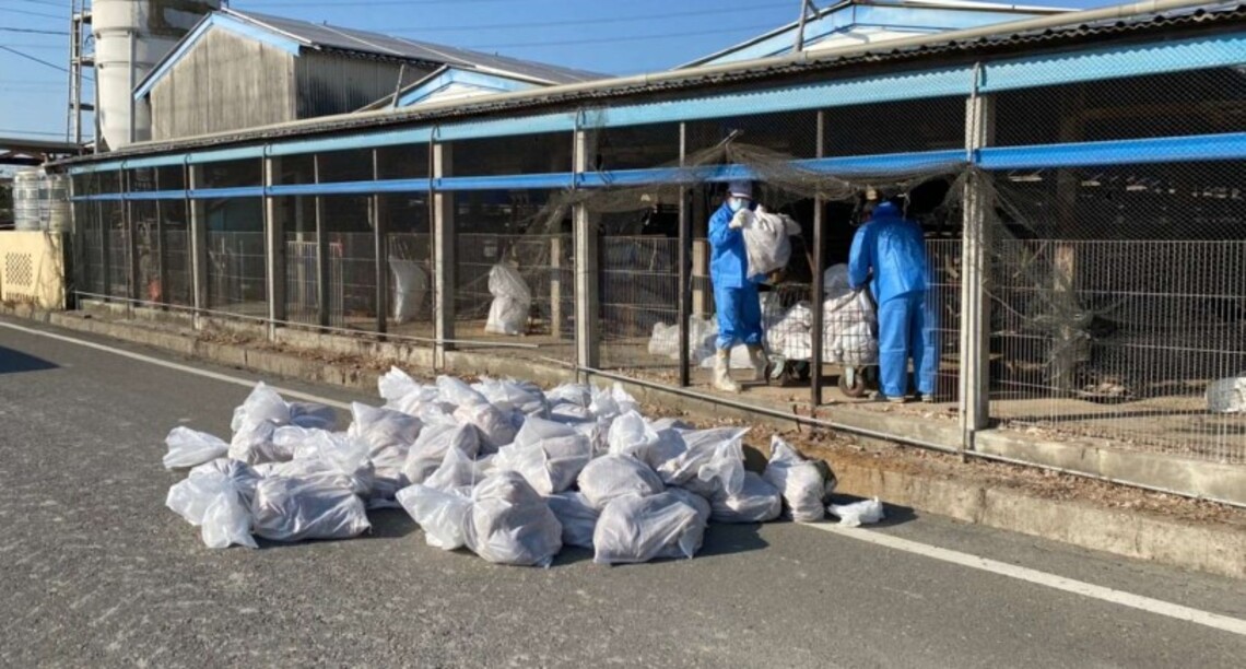 日夜溫差大褒忠再爆禽流感 防疫所嚴陣以待