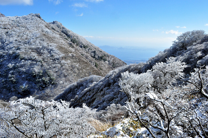 長崎雲仙市早春夢幻雙景 賞霧冰、粉櫻還能泡溫泉
