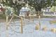 1120129養工新聞照片-九曲堂公園五分車遊戲場10