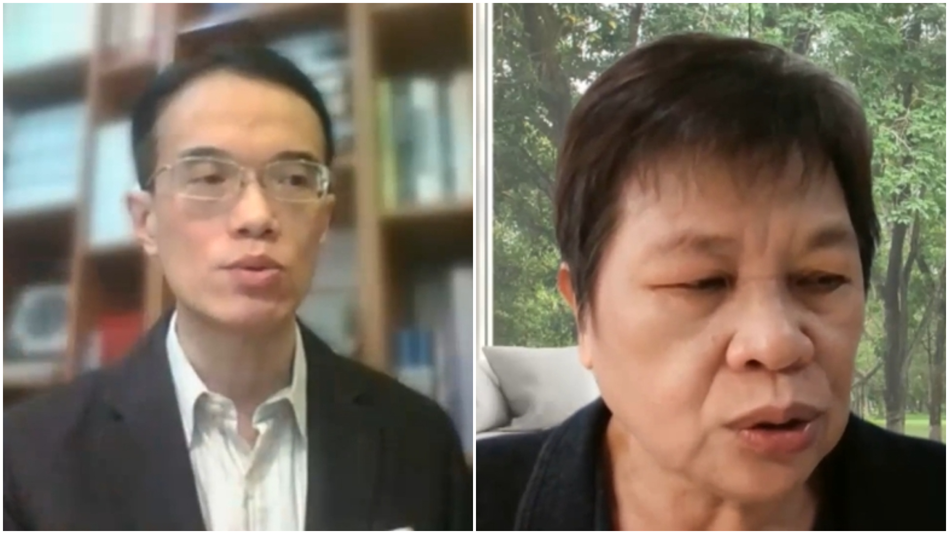 新聞民主與平台議價論壇今舉行線上記者會,右為台大新聞研究所教授林照真,左為政大法律系特聘教授王立達。翻攝直播畫面