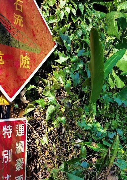 國土功能分區圖及使用地公聽會