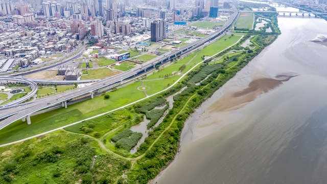 新北市高灘地的人工濕地群.jpg
