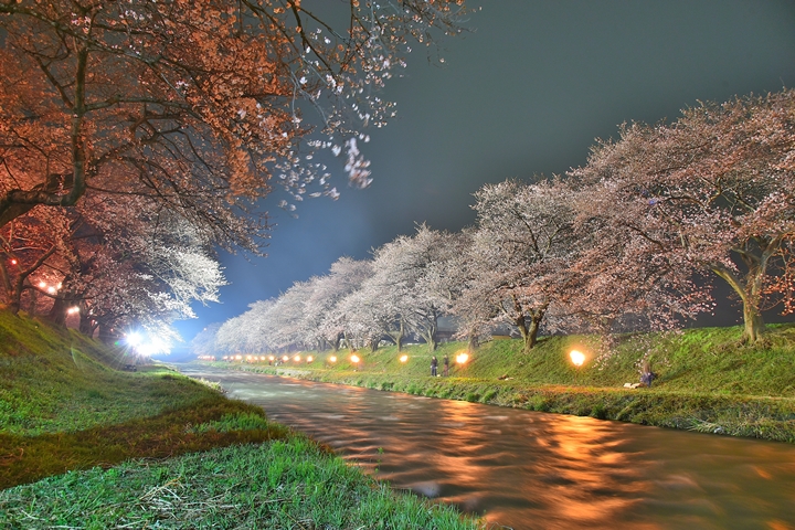 邂逅春神最佳旅遊地!富山縣朝日町超吸睛夢幻絕景這樣玩
