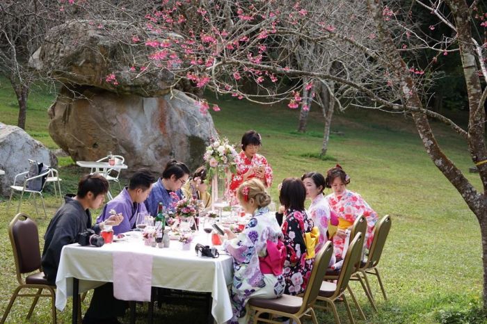 九族櫻花祭限量推出戶外餐桌-櫻花饗艷