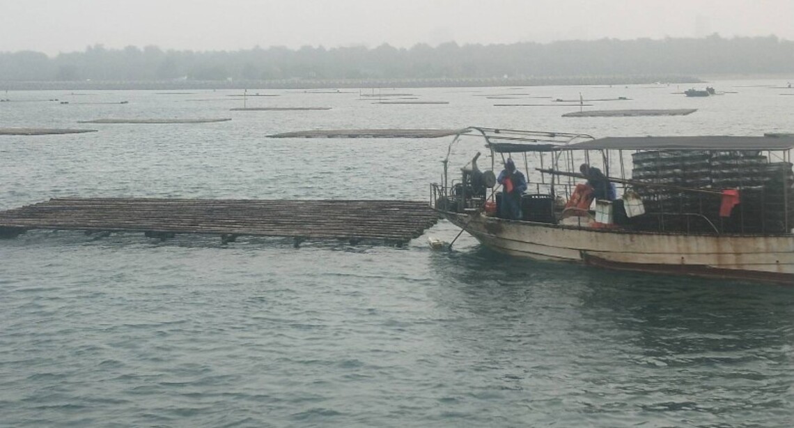 臺南海巡取締漁船違規作業   維護海洋生態資源