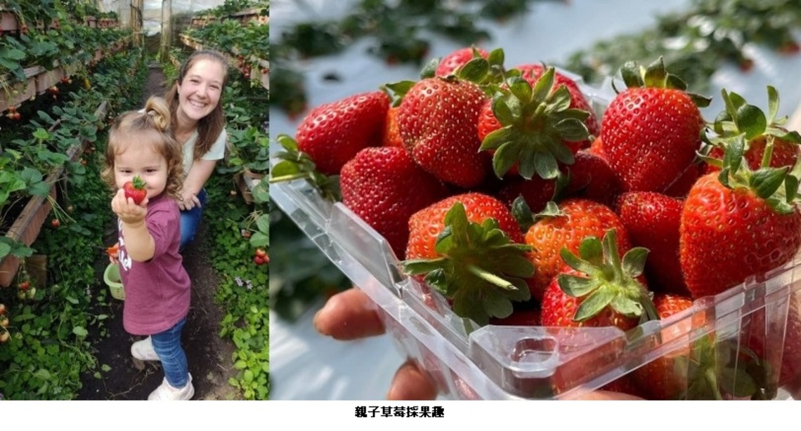 2023內湖草莓園-好玩好康攻略出爐!園區折價券、草莓冰淇淋、任天堂switch通通送給你!