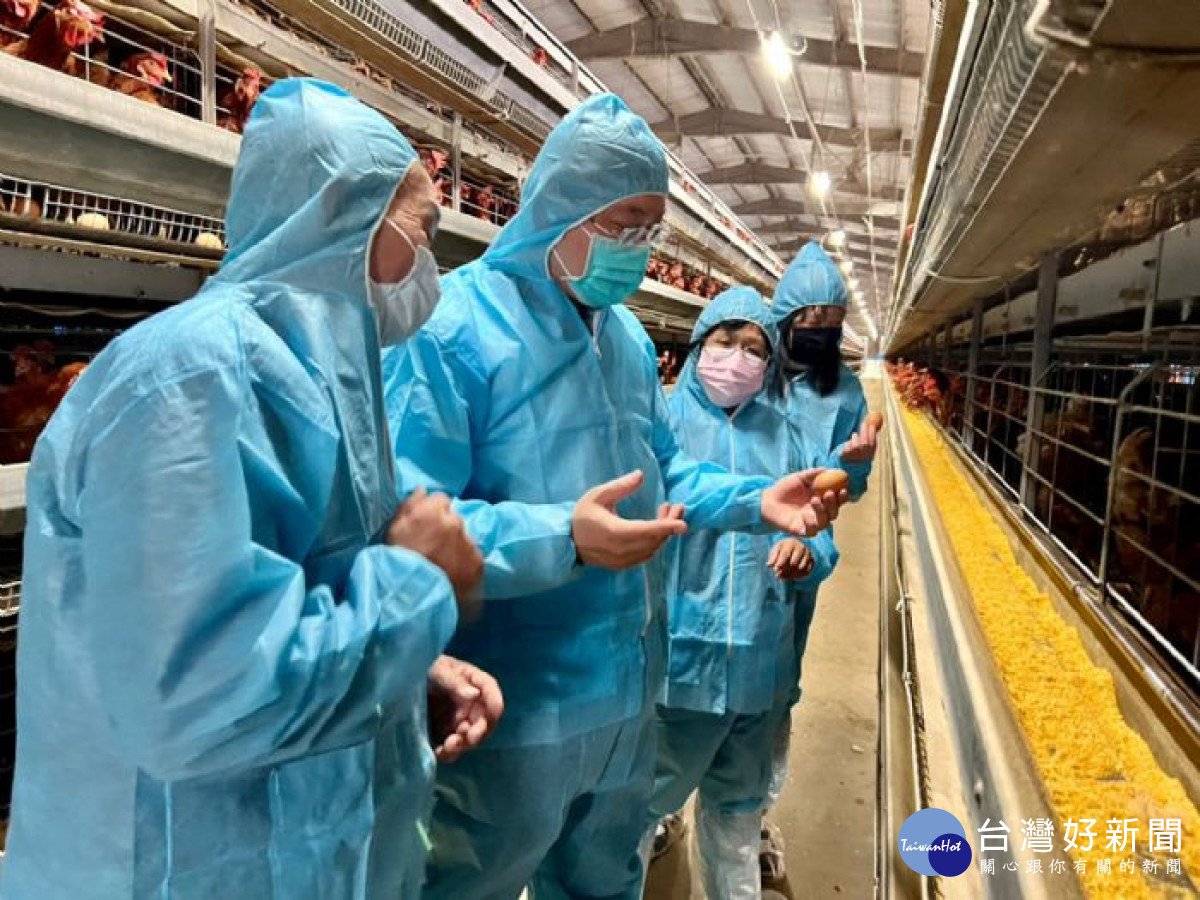 桃園市政府呼籲畜牧場加強防疫管理，民眾無需搶購屯蛋。