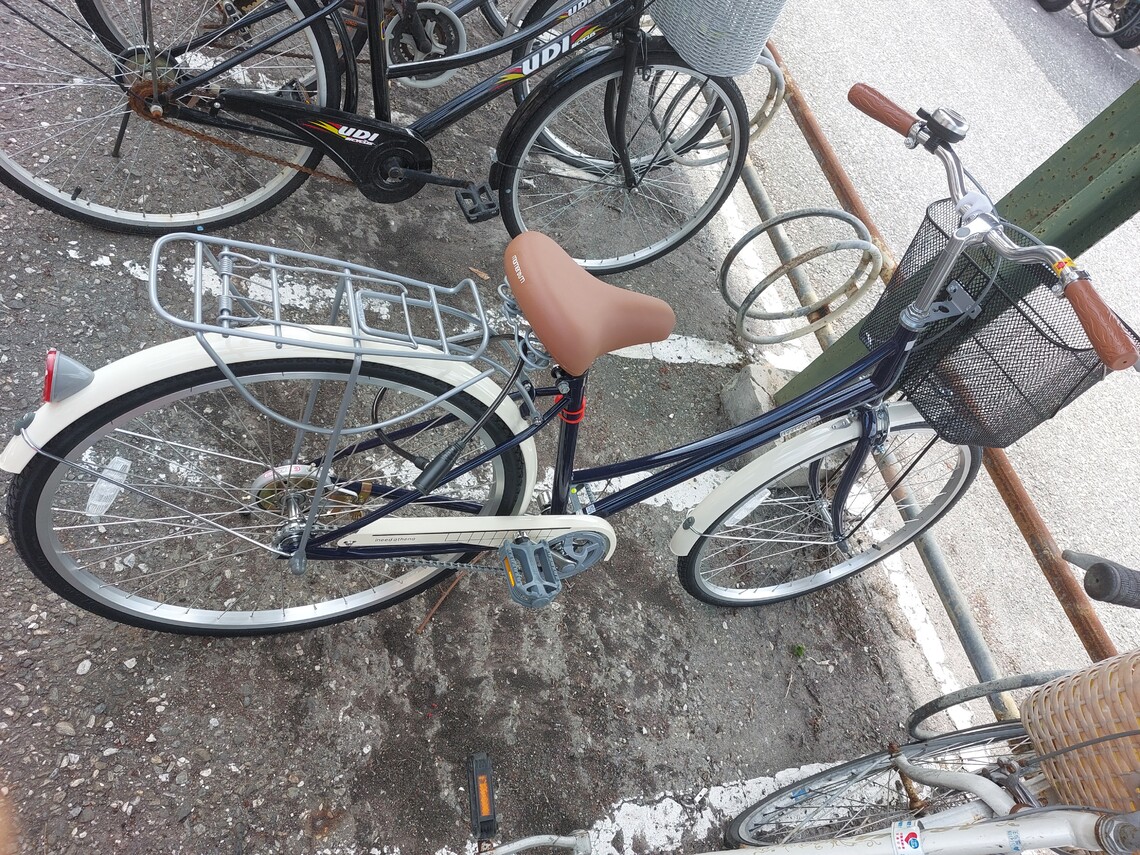 東華大學越南博士生，自行車在火車站遭竊，多盼望警方積極找回