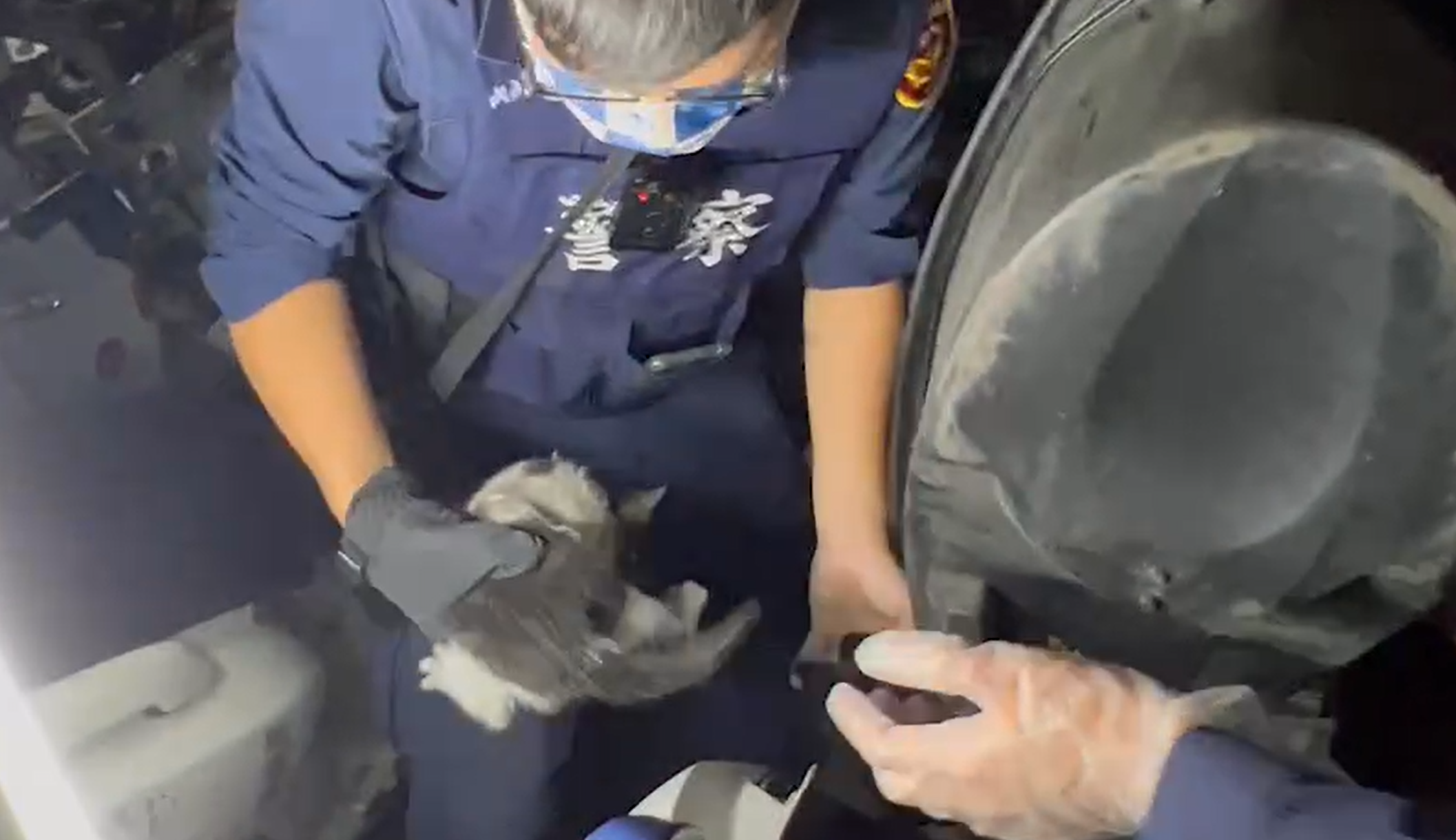 警民合力拆機車坐墊搶救貓咪