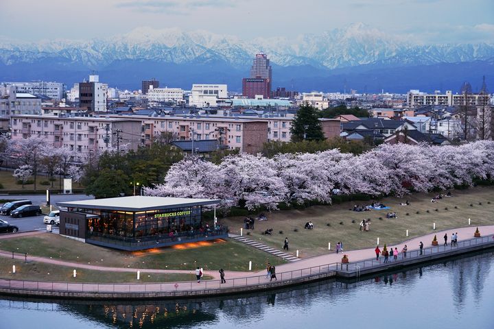 春季限定／日本三大玩賞體驗 雪壁、櫻花、採草莓！ 
