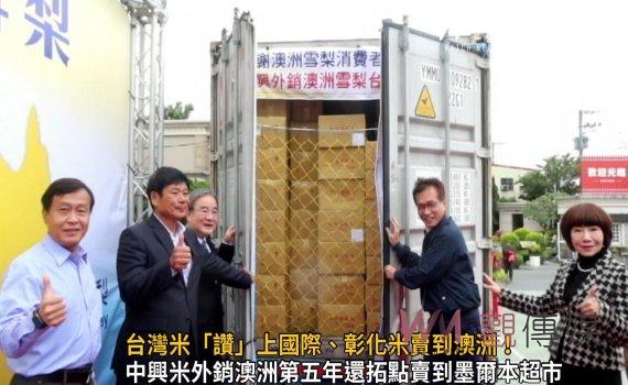 影/台灣米「讚」上國際、彰化米賣到澳洲!中興米年銷澳洲逾180噸