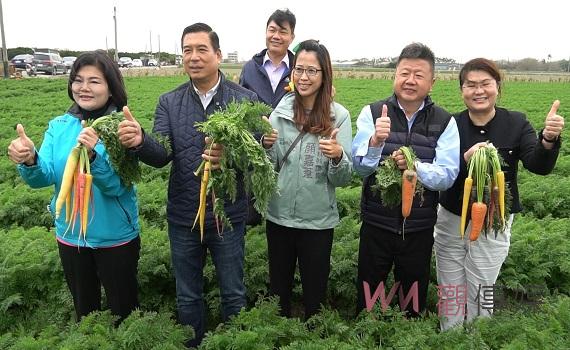 影/國際台灣胡蘿蔔日3/4幸胡登場 從產地到餐桌胡蘿蔔特色美食