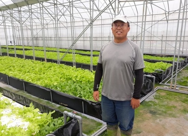 青農呂昆翰打造金山地區「汲鮮」水耕蔬菜農場 (1).jpg