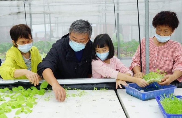 利用動態浮根式栽培技術進行水耕栽種 (1).jpg
