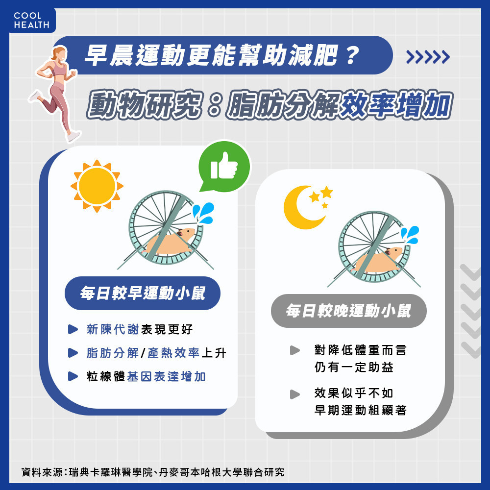 早起運動更好? 動物研究:增加脂肪分解效率 早起運動更好? 動物研究:增加脂肪分解效率