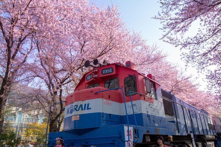 開春逛一波/臺北春季旅展2/24登場 賞花、搭郵輪第二人最高省1萬