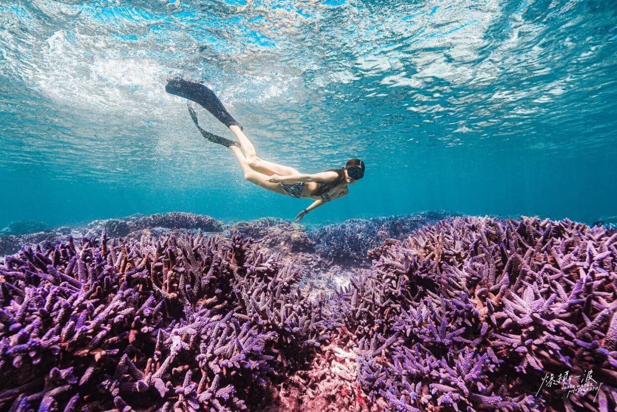 奧丁丁體驗推薦行程－海底薰衣草秘境浮潛一日遊 01（照片來源：IG @fiona11181989授權提供）