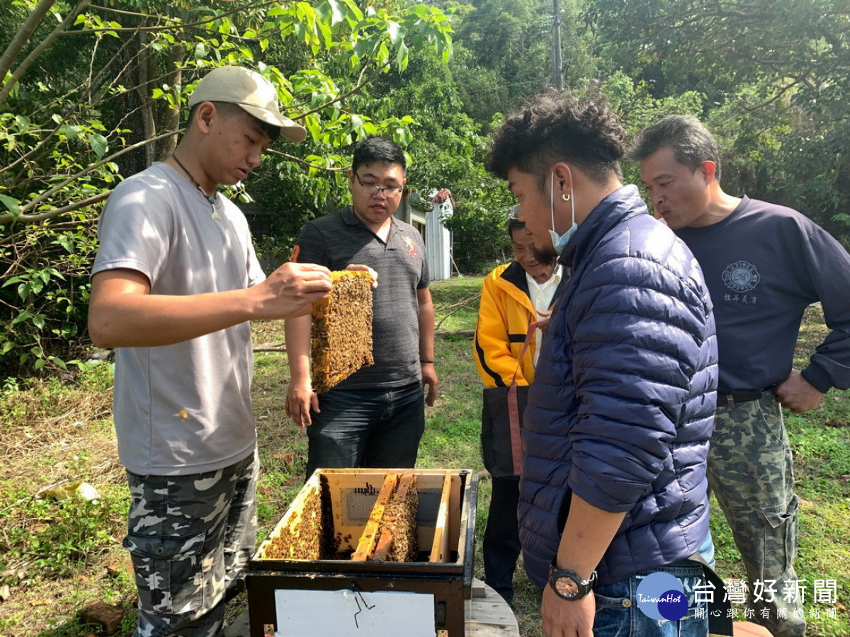 農民可申請於林地適度經營養蜂（圖／林務局提供）