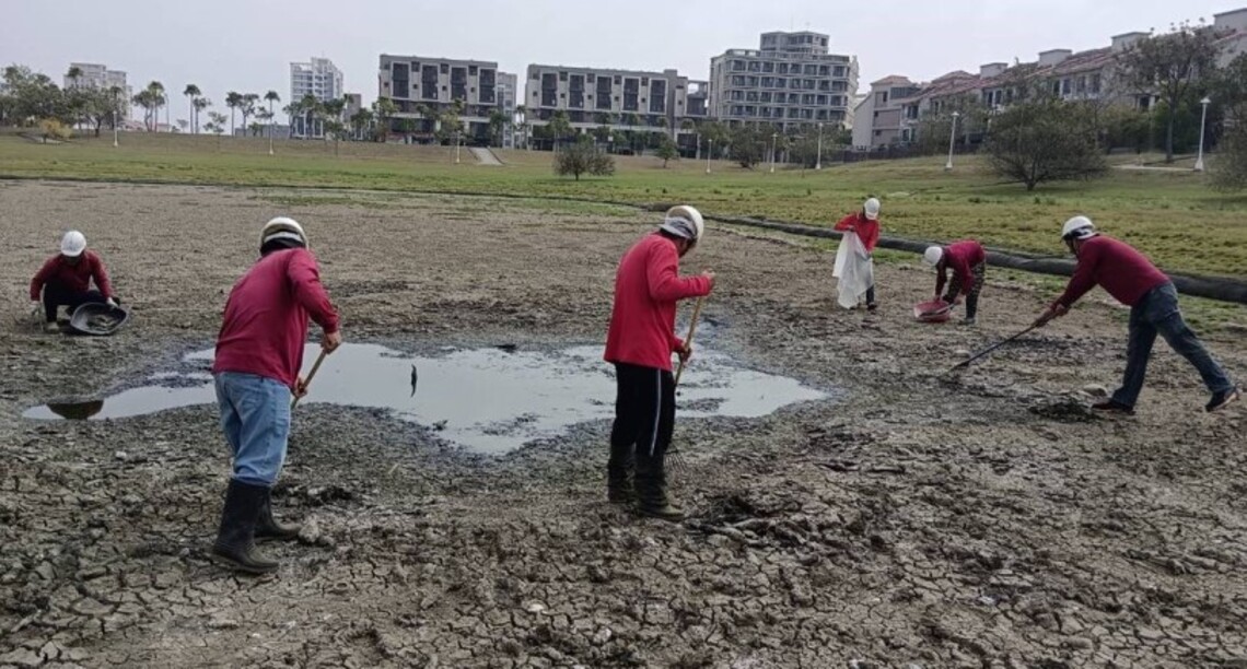 台南善化南科滯洪池乾涸 4百魚死