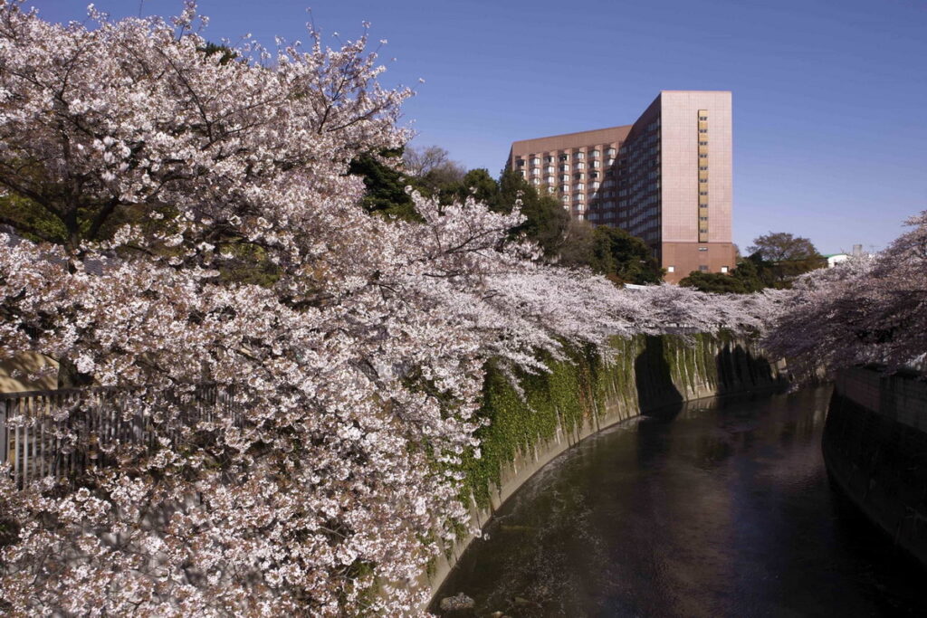獨享粉紅美景!Booking.com 特選「六間賞櫻旅宿」!(圖片由Booking.com提供)