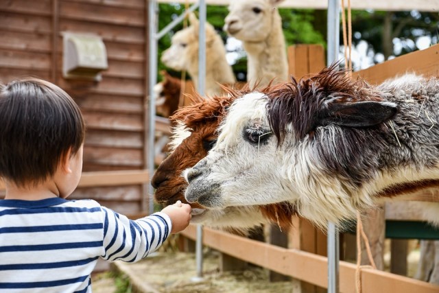 小孩放電首選_網議_這些_動物園你去過了嗎?.jpg