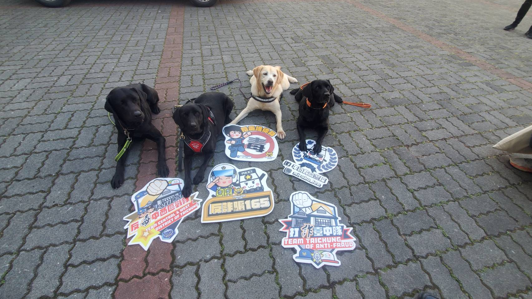 ▲ 由可愛偵爆犬與緝毒犬共同演出實境秀，讓女中大禮堂頓時氣氛嗨翻全場 (圖/台中市警察局 提供)