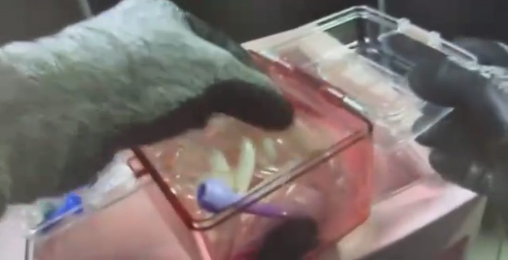 警方持搜索票逮獲犯嫌,並查扣犯罪物證