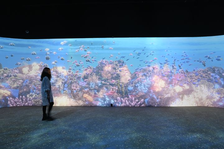 全新景點!南投「灣島文化館與世界南島中心」228連假祭門票特惠