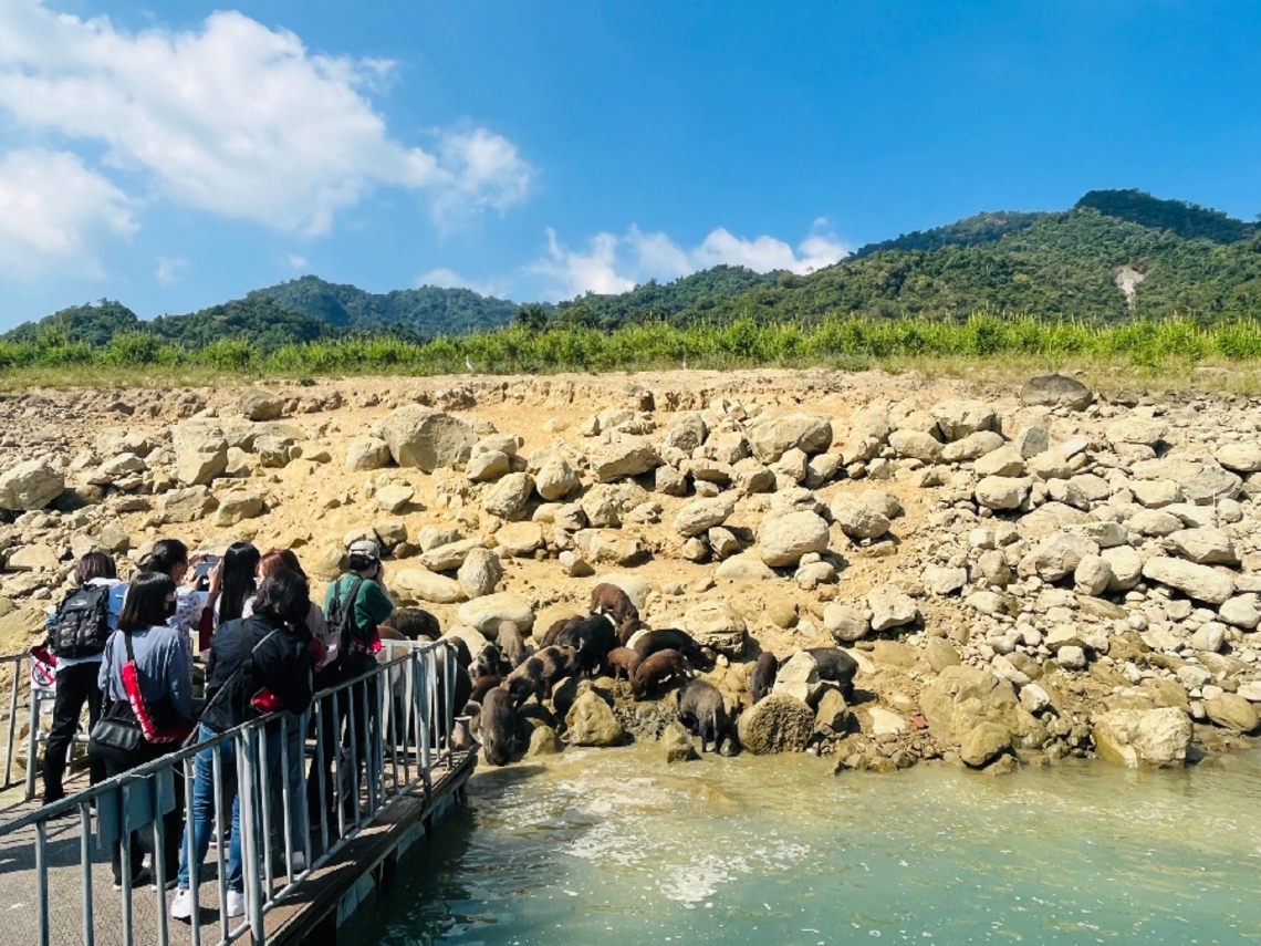 嘉義縣獎勵旅行社送客到嘉義 總計送出百萬獎金 歡迎遊客可以常常「回嘉」