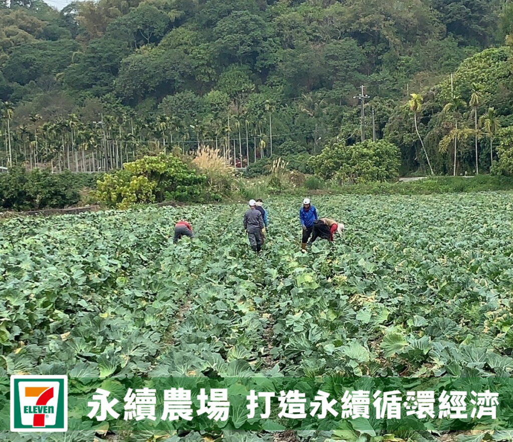 7-ELEVEN率零售之先投入「永續農場」,啟動咖啡循環再生計畫,回收門市咖啡渣轉製有機肥料,施用於7-ELEVEN契作高麗菜田間