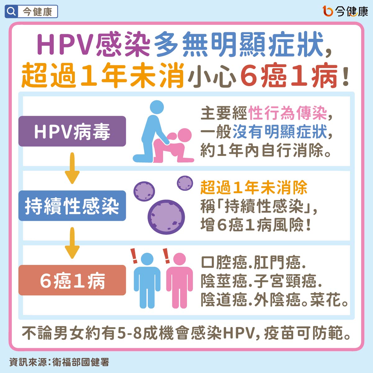  hpv 